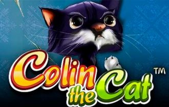 Colin the Cat